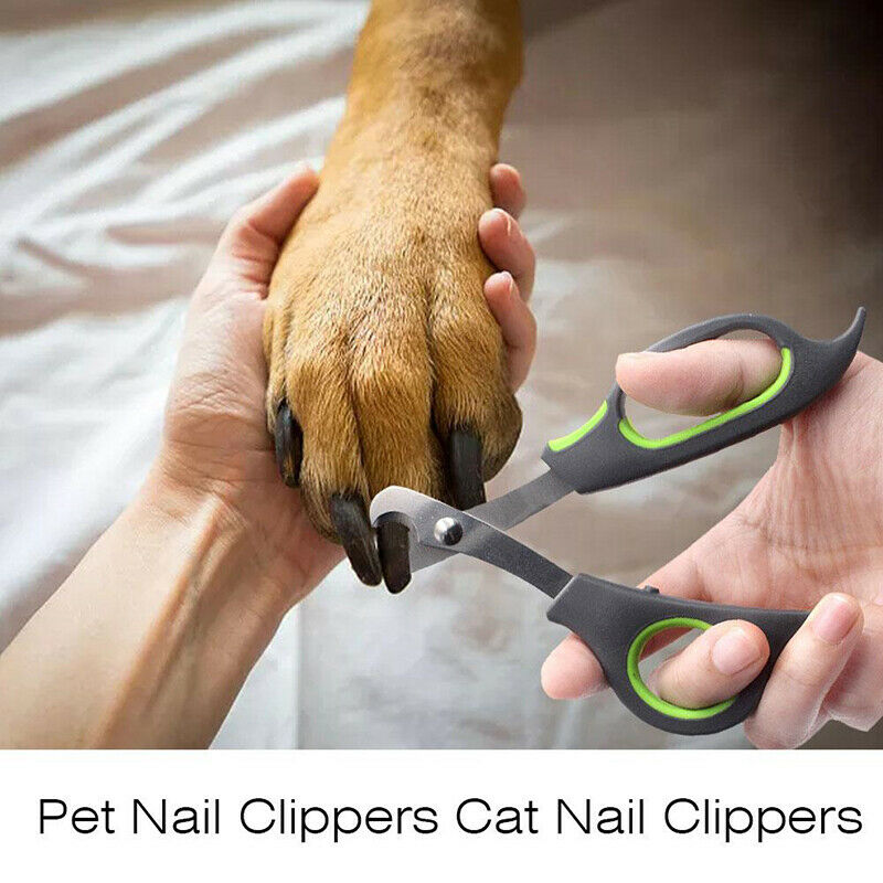 Pet Nail Clippers Claw Trimmer Small Animals Nail Grooming Clipper For Dog  Hn