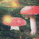 5X3ft Fairy Tale vinyl photography Background Backdrop studio prop G3Y4
