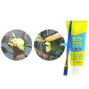 100g Tree Wound Bonsai Cut Paste Smear Agent Pruning Compound Sealer + Brush %o