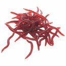 50Pcs/ earthworm plastic lures Artificial Fishing Bionic soft Lures red wor