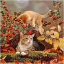 5D DIY Full Drill Diamond Painting Cat Embroidery Mosaic Craft Kits Decor