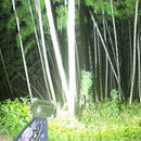 Portable Camping Light Led Spotlight Chandelier Charging Flood Lights Suita