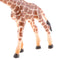 2x Small Realistic Animal Figures Forest Camel Giraffe for Collectibles