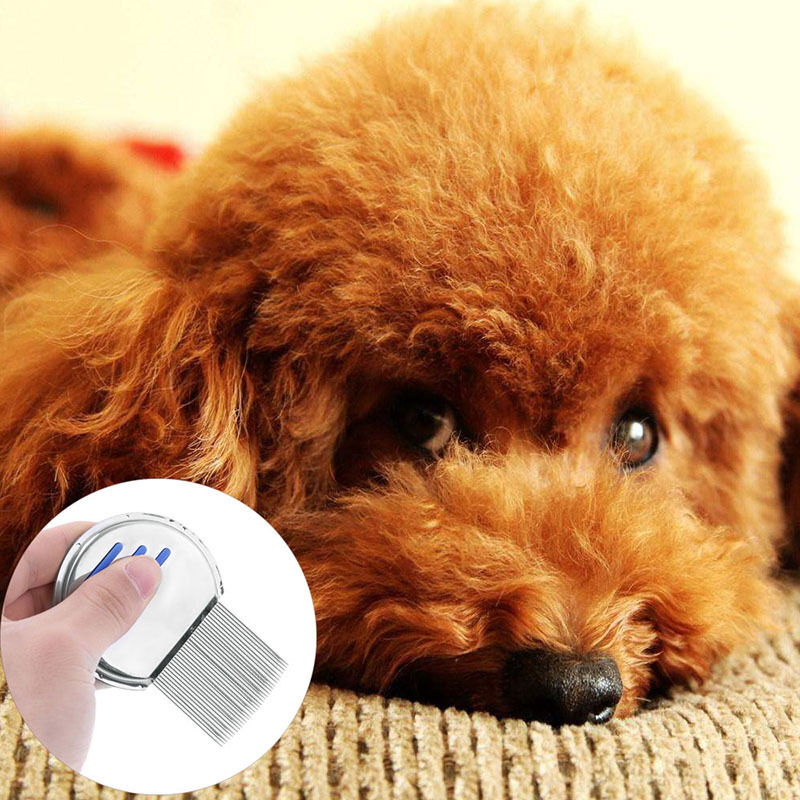 Puppy Pet Dog Cat Hair Fur Shedding Remove Cleaning Grooming Rake Comb Brush Kit