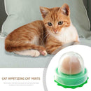 Cat Catnip Licking Candy for Kitten Increase Drinking Energy Ball Snack A