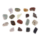 DIY Micro Bonsai Garden Fish Tank Decor Natural Rock 18 Kinds Colors Rocks