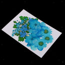 5 Kinds Flowers Natural Pressed Dried Flowers Pressed Leaves For Scrapbooking