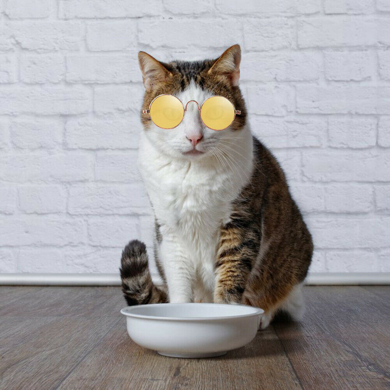 Lovely Dog Cat Glasses Pet Eye Protection Sunglasses Photos Props (Yellow) A
