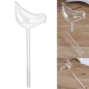 Glass Plant Flowers Water Feeder Self Watering Bird Swan Plant Waterer Devices