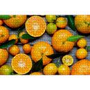 Orange Fruit 1000pcs DIY Paper Puzzles Jigsaw Educational Kids Adults Toys