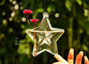 Star Hanging Glass Flower Hydroponic Vase Container Decor Rustic Ornament