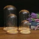 Clear Glass Dome Cover Shade Wood Cork Plant Flower Vase Container 12x22cm