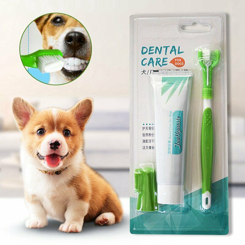3 sets of dog pet finger toothbrush three head toothbrush toothpaste set pe