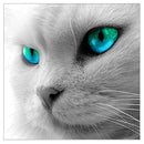 5D Blue-eyes Cat Diamond Painting Embroidery Full Drill DIY Cross Stitch