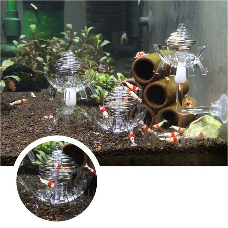2pcs Feeding Basin for Dwarf Shrimps,Fish, Aquarium Invertebrates Clear Glass