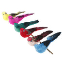 Simulation Feather Foam colorful bird Garden Bird lawn Prop DecorationEBJ ouJ Kw