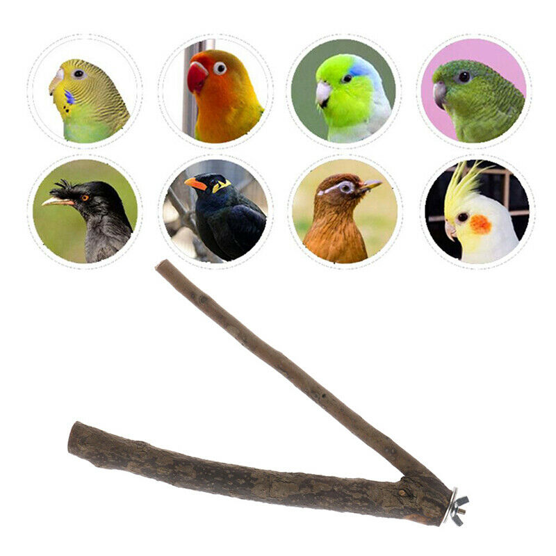 Pet Parrot Bird Standing Stick Birdcage Stand Pole Perch Bite Claw Grinding T_