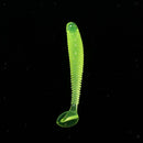 16x Worm ing Lures Soft Crank Baits T-tail  Tackle Lures 5cm Yellow