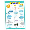 Weather &Nature~Kindergarten Classrooms Early Learning Educational Posters