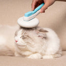 Puppy Cat Remover Grooming Tool Massage Comb Round Hair Brush (Hollow Blue) A