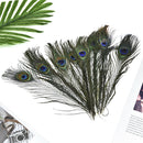 10Pcs 25cm Natural Peacock Tail Feathers Costume Party Wedding DIY Fashion Craft