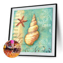 5D DIY Full Round Drill Diamond Painting Conch Living Room Decor (WX433)