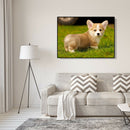 5D Diamond Painting Full Drill Puppy DIY Cross Stitch Pictures (WB031) A