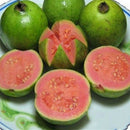 50pcs Guava Seeds Delicious Tropical Fruit Seed Non Transgenic Plant Bonsai LJ