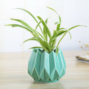 Minimalist Green Plant Hydroponic Vase Iron Holder Ceramic Scindapsus Conta