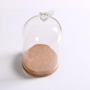 Bird Decorative Glass Dome with Wooden Base - Cloche Bell Jar Display 15cm
