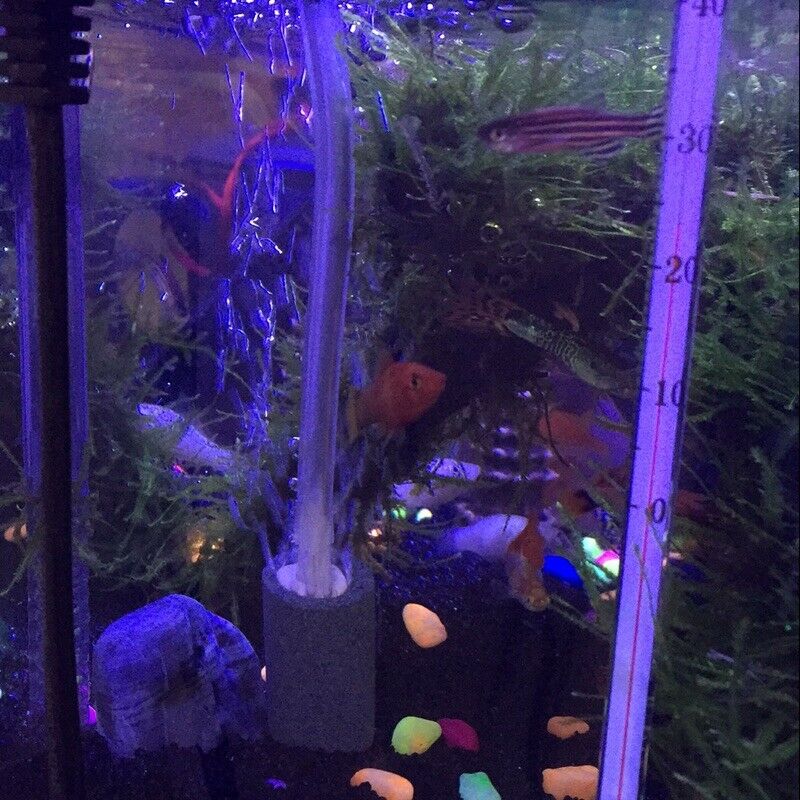 2 Air Bubble Disk Stone Aerator Aquarium Fish Tank Pond Pump Hydroponic Oxy