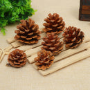 4Pcs Natural pine cones 2-3cm size quality pinecone florists crafts decorativ LJ
