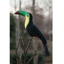 Artificial Black Toucan Bird Realistic Taxidermy Home Garden Decor 35cm