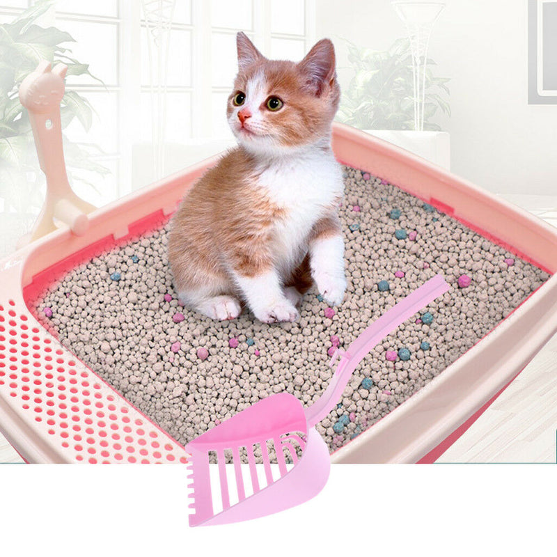 Large Sturty Cat Litter Scoop Sifter, Deep Shovel with Short Handle 5 Pieces