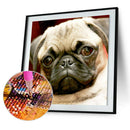 5D DIY Full Drill Diamond Painting Doggie Cross Stitch Embroidery Mosaic Ki