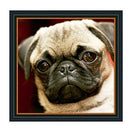 5D Pug Diamond Art Dogs Painting Kits Cross Stitch Crystal Embroidery Kit G