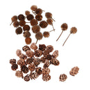 80 Pieces Natural Mini Pine Cones Dried Fruits Accents Table Ornaments Home Room