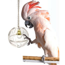 Parrots Ball Feeder Hanging Cage Feeding Birds Bell Foraging Chain For TreatA3C