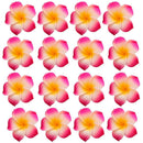 100x Wedding Party Frangipani Foam Plumeria Flower Head Hair Clip Rose Red
