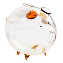 Pig Piggy Bank Money Boxes Coin Saving Box Cute Transparent Glass Souvenir