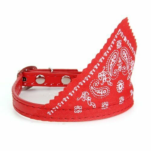 Dog Puppy Pet Bandana Scarf Paisley Pattern with Leather Collar Red S