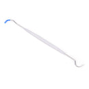 10X Disposable Double Hook Tooth Dental Explorer Dentalist Probe Dentist ToolgLJ