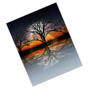 DIY 5D Diamond Painting Full Drill Sunlight Tree Moon Sea Embroidery 25*30cm
