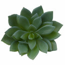 Echeveria Lotus Artificial Plants Artificial Succulents House / Office / Ga A9P6