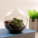 Glass Tealight Holder Microlandscape Pot Home Fairy Garden Decor 6cm_Flat