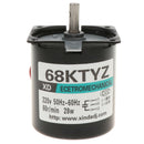 Low Speed AC 220V 28W CW/CCW Micro Permanent Magnet Synchronous Motor 60RPM