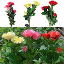 New Outdoor Landscape Light Solar Power 3 LED Rose Flower Lamp for House Garden