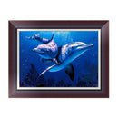 DIY 5D Diamond Painting Dolphin Embroidery Cross Stitch Crafts Home Decor