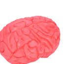 Scary Haunted House HUMAN BRAIN Organ Body Part Halloween Horror Prop Decor S â„–[