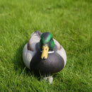 Fishing Hunting Decoy Plastic Duck Decoy Drake with Weighted Floating Kee